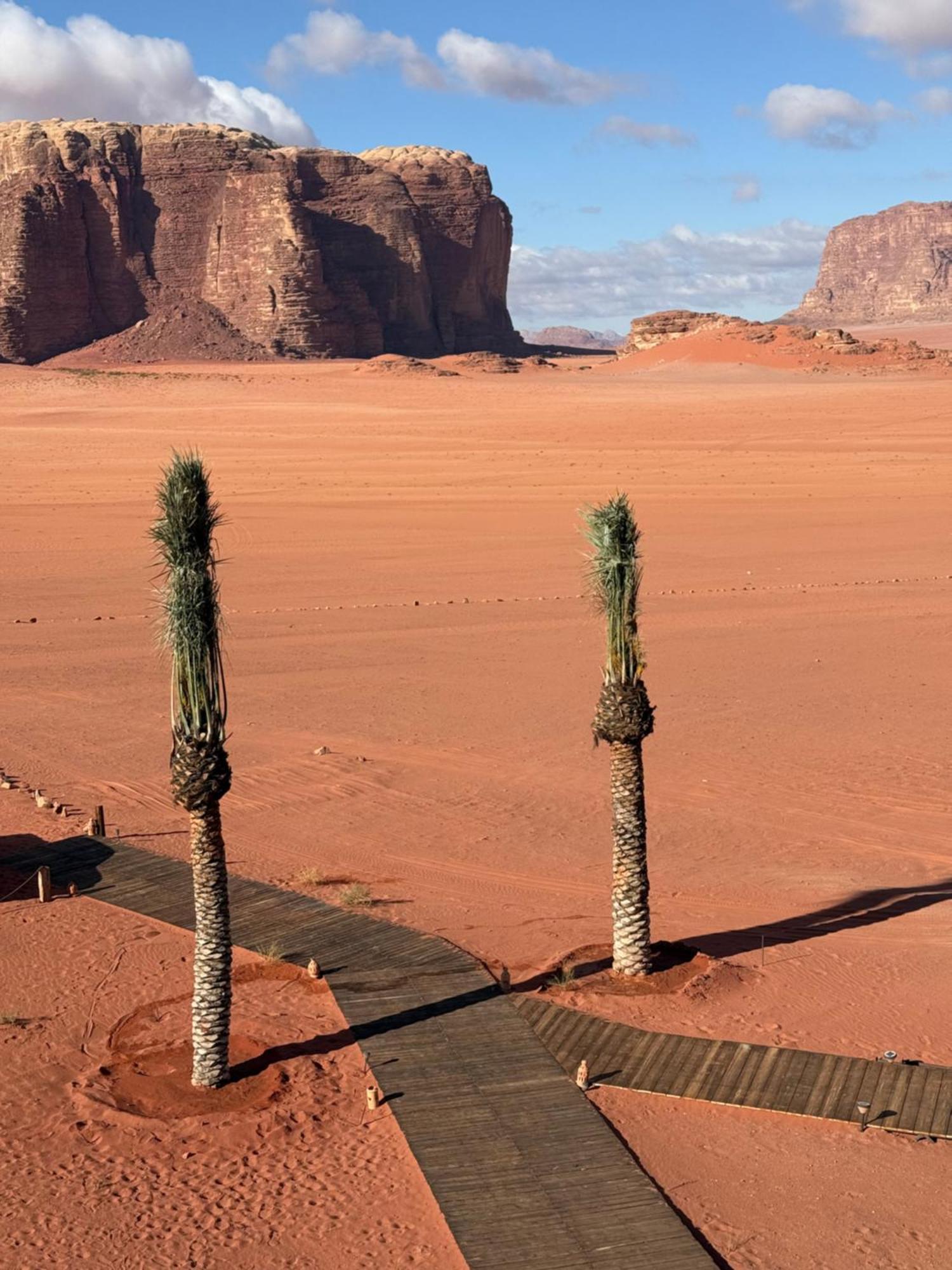 Wadi Rum Bedouin Camp Bagian luar foto